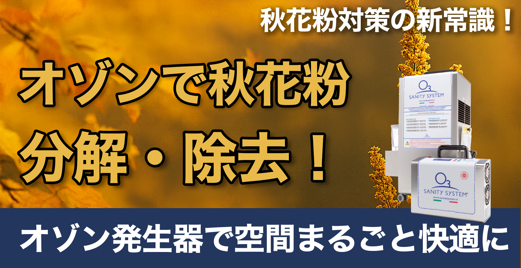 オゾン　秋花粉　分解　除去