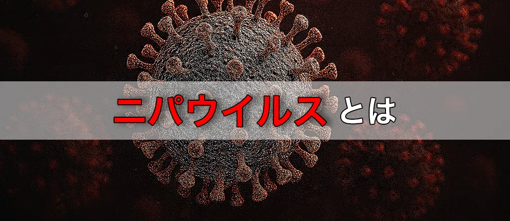ニパウイルス　概要