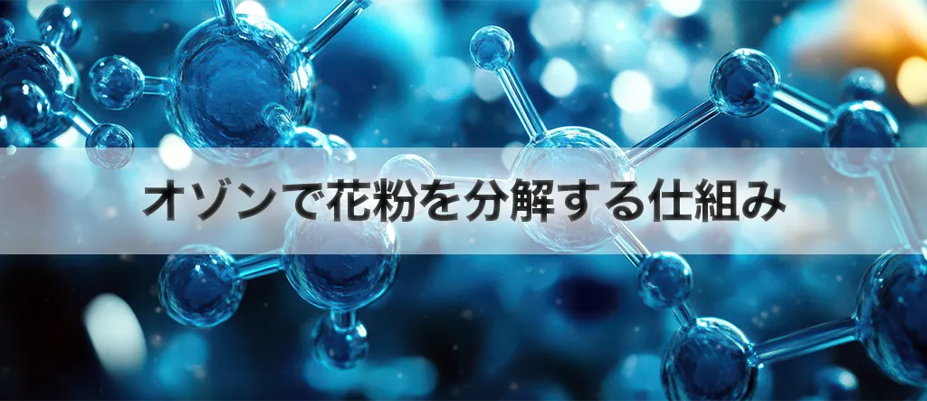 オゾン　花粉　分解