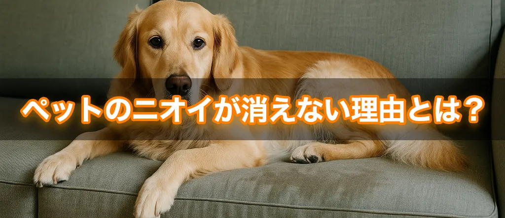 ペット ニオイ 理由